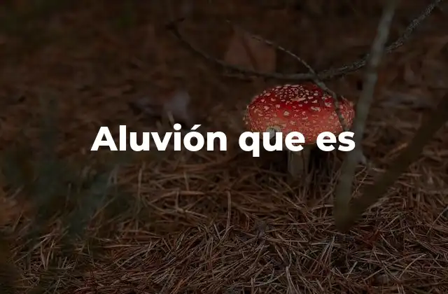 Aluvión que es