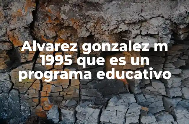 Alvarez Gonzalez M 1995 que es un Programa Educativo 2 El enfoque pedagógico detrás del programa