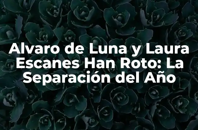 Alvaro de Luna y Laura Escanes Han Roto: la Separación Del Año