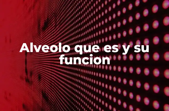 Alveolo que es y Su Funcion