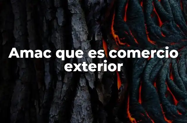 Amac que es Comercio Exterior