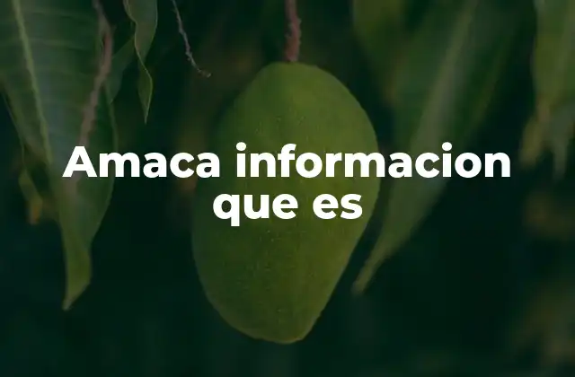 Amaca Informacion que es