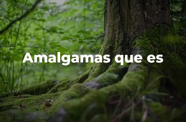 Amalgamas que es