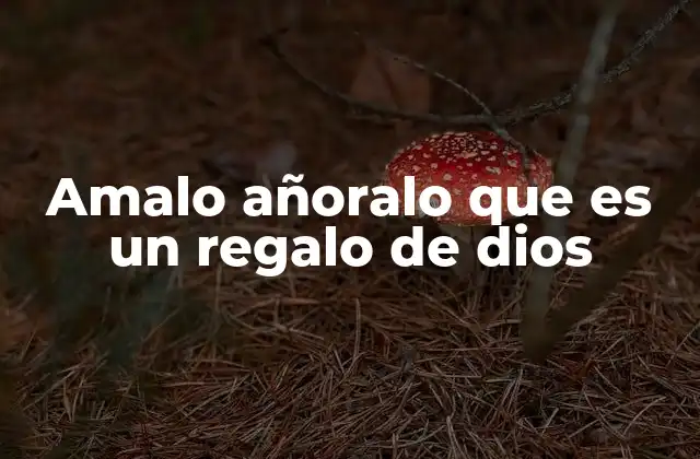 Amalo Añoralo que es un Regalo de Dios