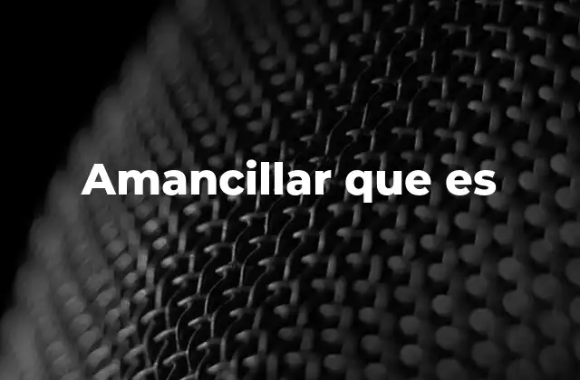 Amancillar que es 2 La importancia del uso correcto de amancillar en el lenguaje