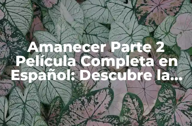 Amanecer Parte 2 Película Completa en Español: Descubre la Continuación de la Saga
