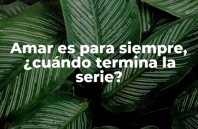 Amar es para Siempre, ¿cuándo Termina la Serie?
