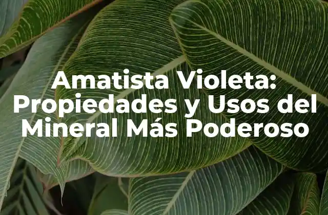 Amatista Violeta: Propiedades y Usos Del Mineral Más Poderoso