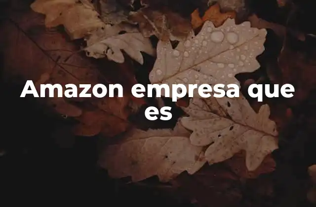 Amazon Empresa que es