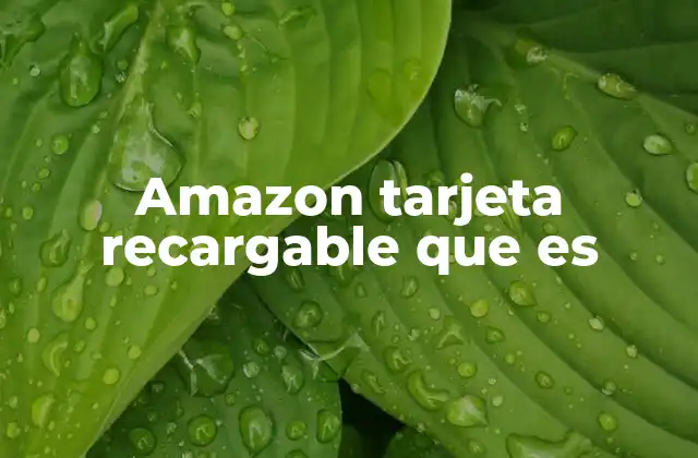 Amazon Tarjeta Recargable que es