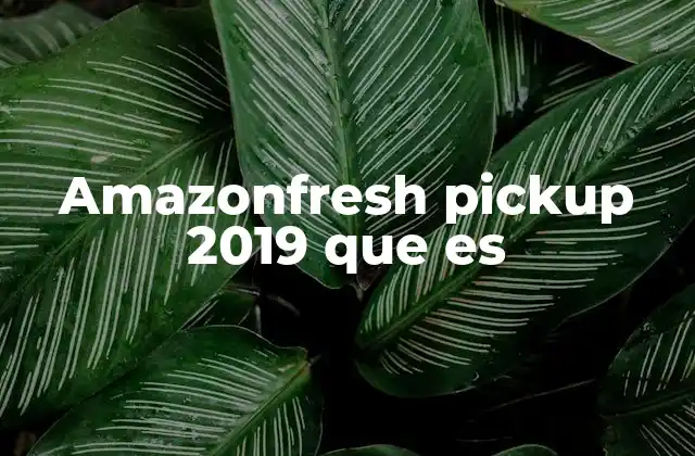 Amazonfresh Pickup 2019 que es
