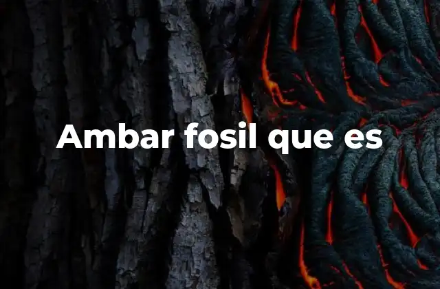 Ambar Fosil que es