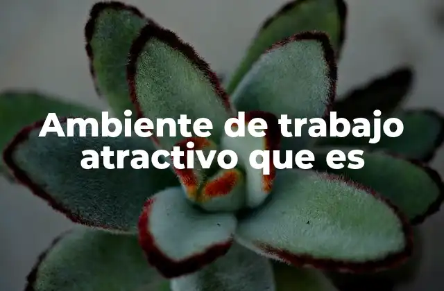 Ambiente de Trabajo Atractivo que es