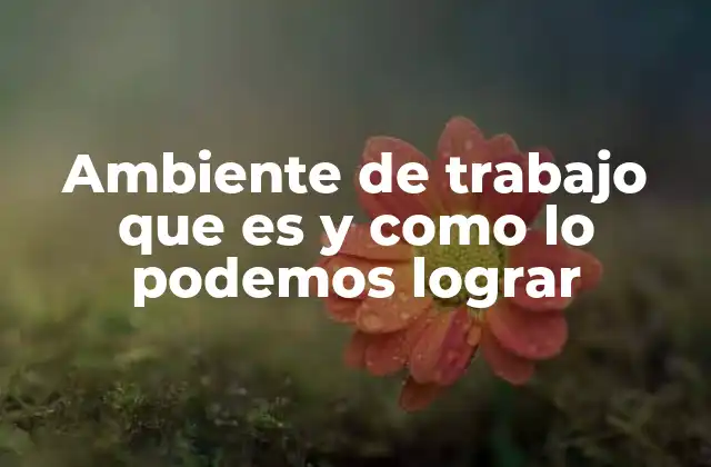 Ambiente de Trabajo que es y como Lo Podemos Lograr