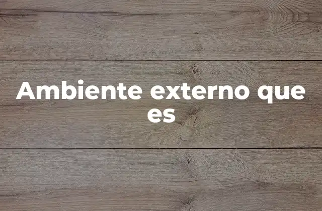 Ambiente Externo que es