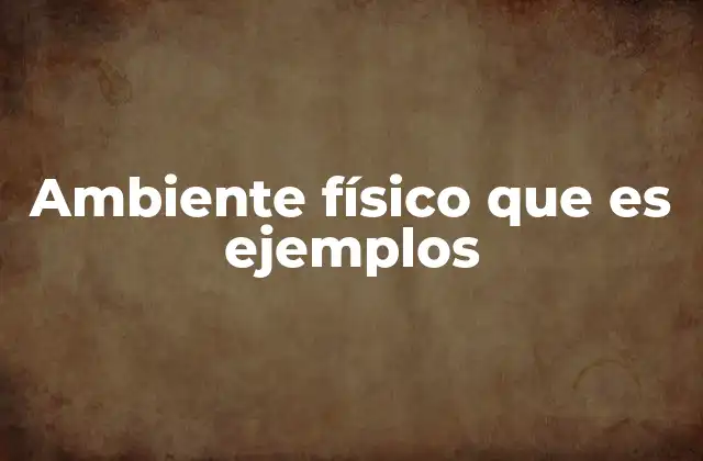 Ambiente Físico que es Ejemplos