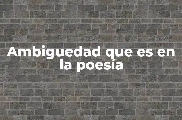 Ambiguedad que es en la Poesía