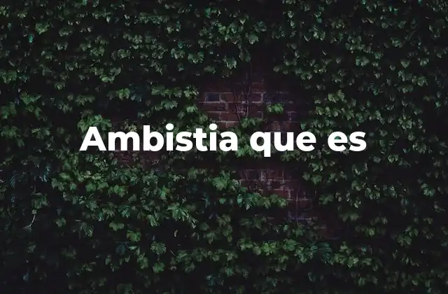 Ambistia que es
