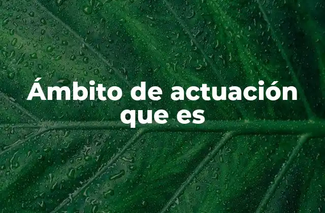 La importancia del ámbito de actuación en la toma de decisiones