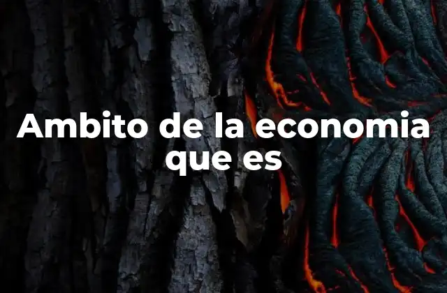 Ambito de la Economia que es