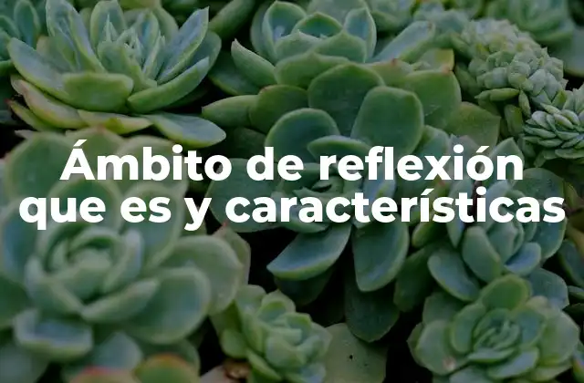 Ámbito de Reflexión que es y Características