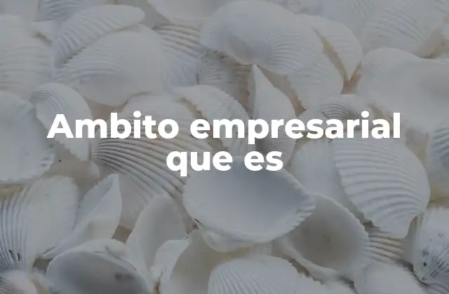 Ambito Empresarial que es
