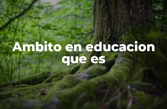 Ambito en Educacion que es