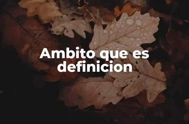 Ambito que es Definicion