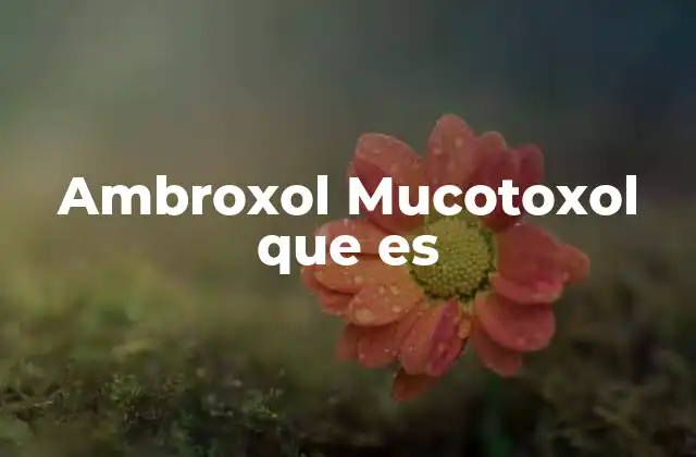 Ambroxol Mucotoxol que es