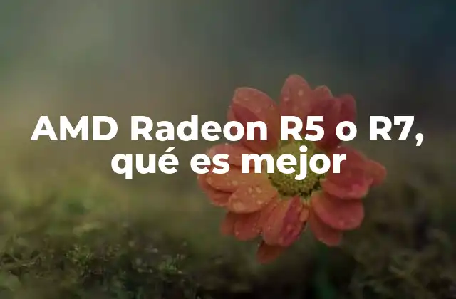 Amd Radeon R5 o R7, Qué es Mejor