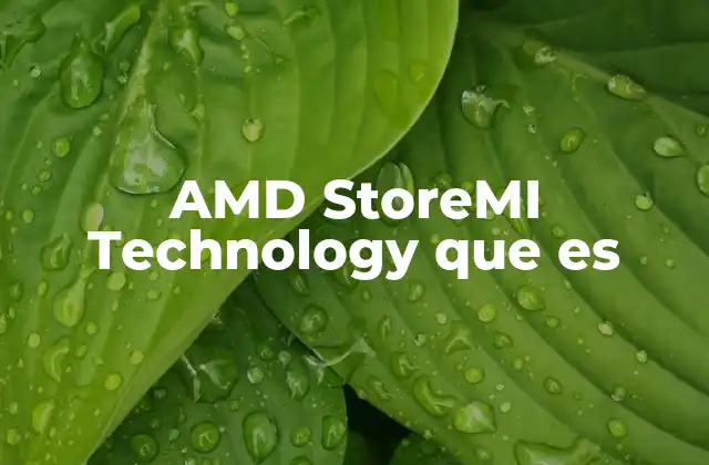 Amd Storemi Technology que es