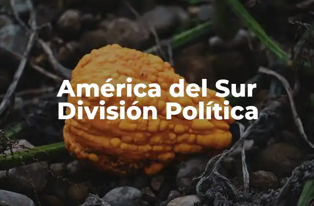América Del Sur División Política