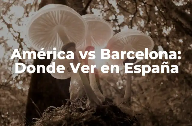 América Vs Barcelona: Donde Ver en España 2 Breve Historia del América y Barcelona