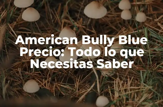 American Bully Blue Precio: Todo Lo que Necesitas Saber