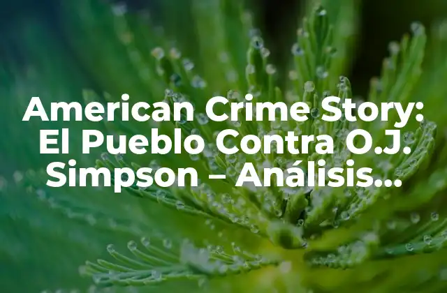 American Crime Story: el Pueblo contra O.j. Simpson – Análisis Detallado de la Serie