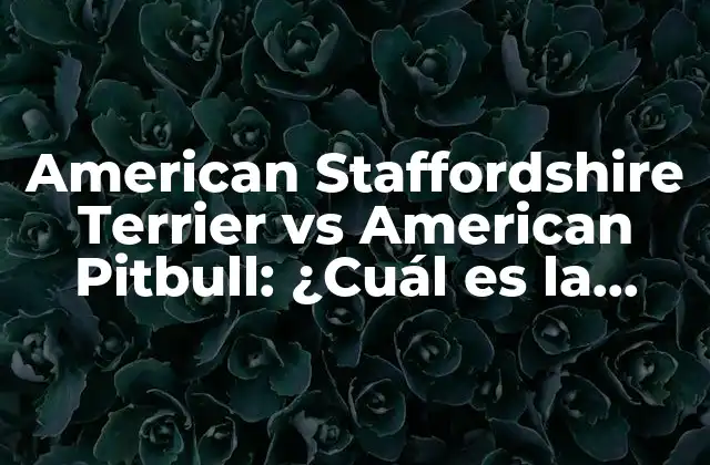 American Staffordshire Terrier Vs American Pitbull: ¿cuál es la Diferencia?