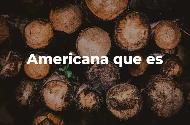 Americana que es