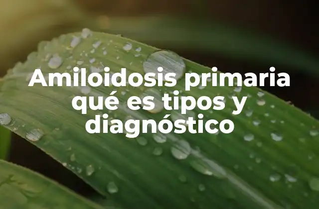 Amiloidosis Primaria Qué es Tipos y Diagnóstico