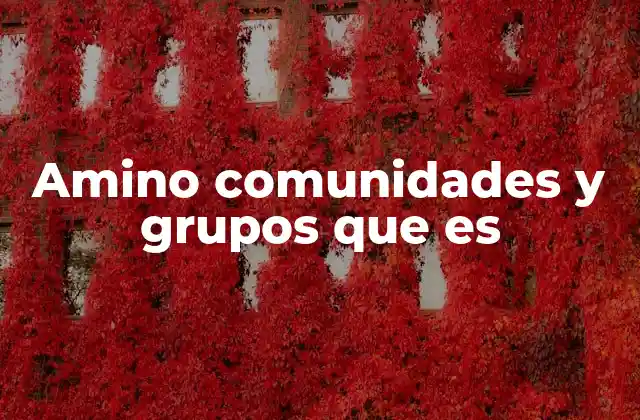 Amino Comunidades y Grupos que es