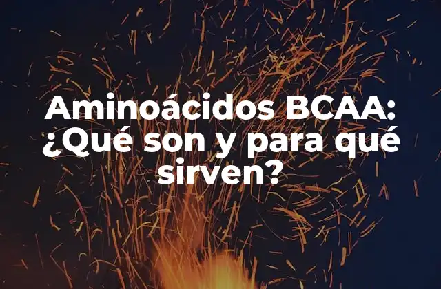 Aminoácidos Bcaa: ¿qué Son y para Qué Sirven?