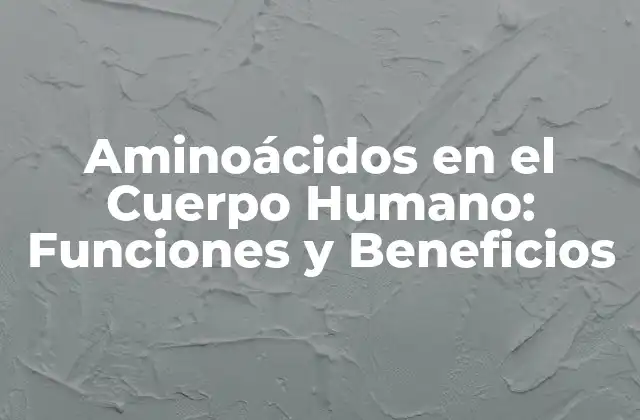 Aminoácidos en el Cuerpo Humano: Funciones y Beneficios