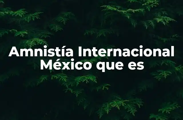 Amnistía Internacional México que es