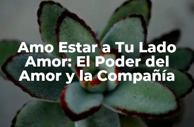Amo Estar a Tu Lado Amor: el Poder Del Amor y la Compañía 2 ¿Qué Significa Amo Estar a Tu Lado Amor?