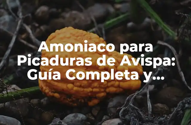 Amoniaco para Picaduras de Avispa: Guía Completa y Segura