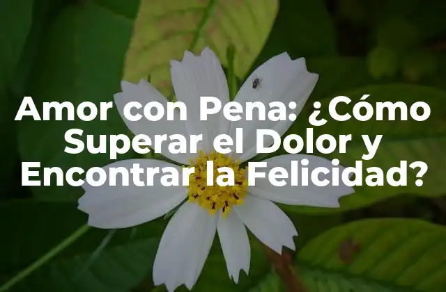 Amor con Pena: ¿cómo Superar el Dolor y Encontrar la Felicidad?