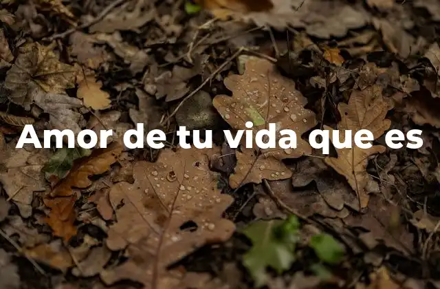 Amor de Tu Vida que es