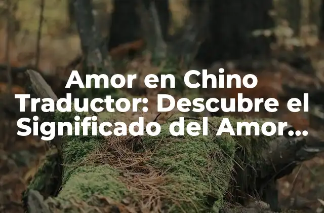Amor en Chino Traductor: Descubre el Significado Del Amor en la Cultura China