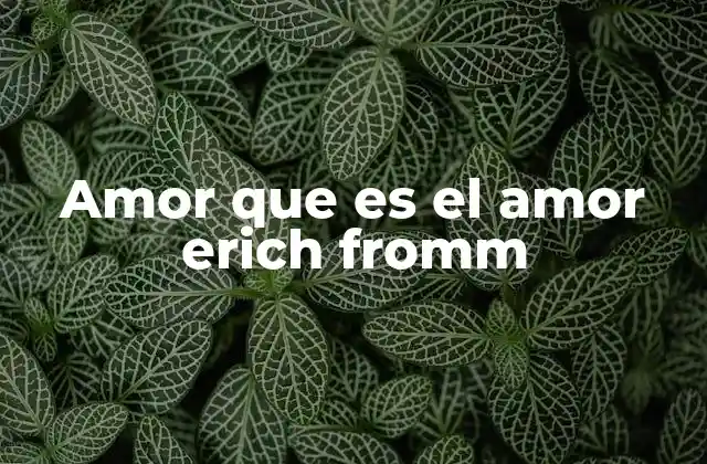 Amor que es el Amor Erich Fromm