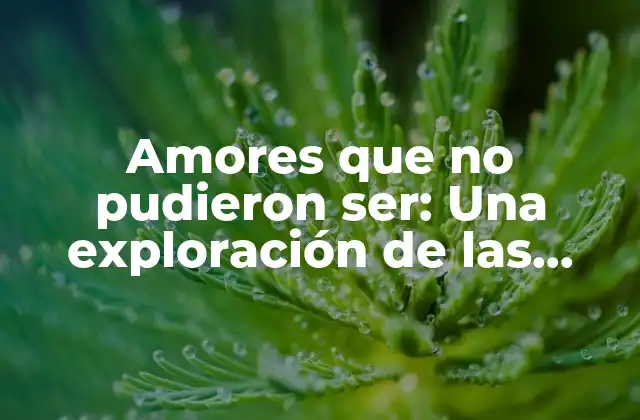 Amores que No Pudieron Ser: una Exploración de las Historias de Amor Imposibles