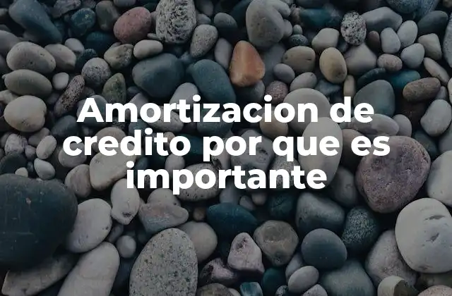 Amortizacion de Credito por que es Importante